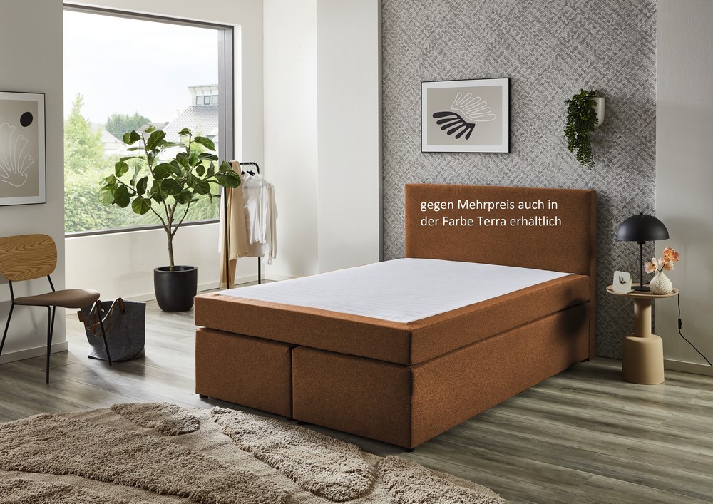 Ashil Boxspringbett