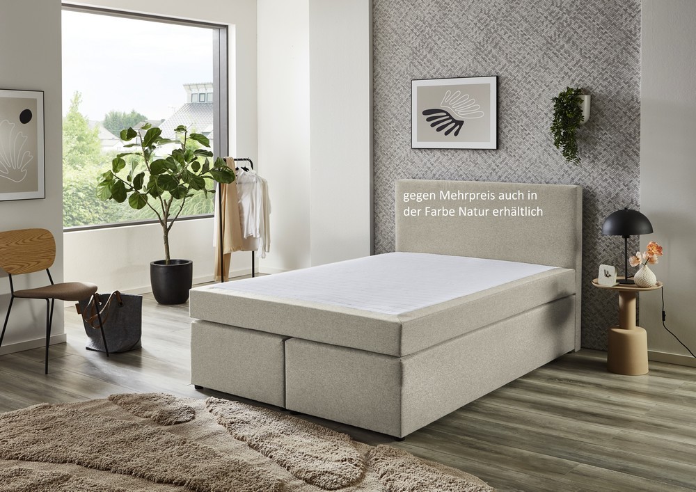 Ashil Boxspringbett